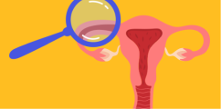 Let's take a closer look: The female body